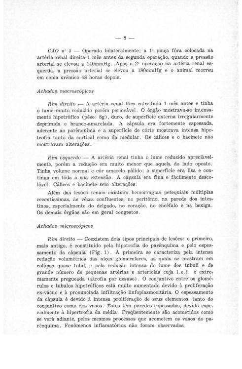 Page 7 - ANAIS DA UFMG -XIX - 1959
